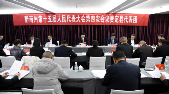 向承强在参加贵定代表团审议时强调：发挥比较优势 率先突破发展 为推动全州经济高质量发展作出贵定新贡献